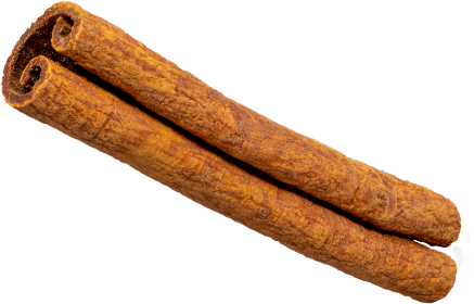 Decorative Cinnamon Stick